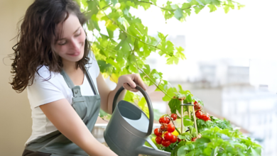 5 Tips for Watering Tomatoes in Pots