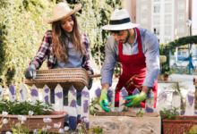 5 Tips for Starting a Community Urban Garden