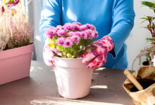 7 Creative Ways to Decorate a Simple Flower Pot